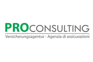 www.proconsulting.info www.proconsulting.info